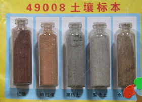 土壤标本